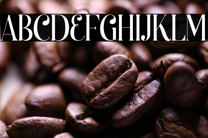 Begova Personal Used Example 1