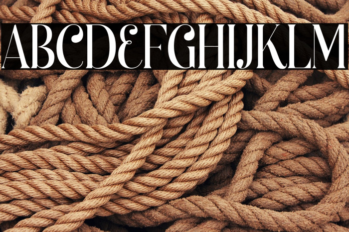 Begova Personal Used Example 3