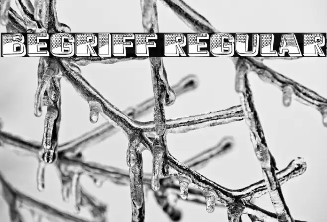 Begriff Regular Font examples