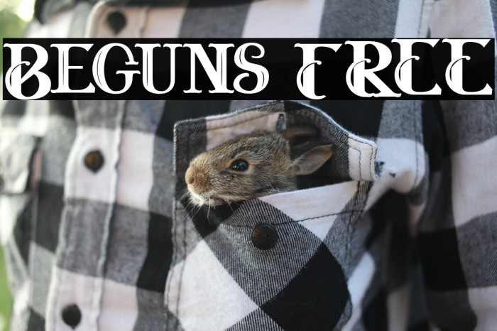 Beguns FREE Example 1