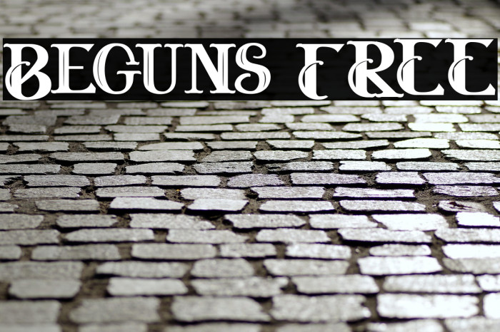 Beguns FREE Example 3