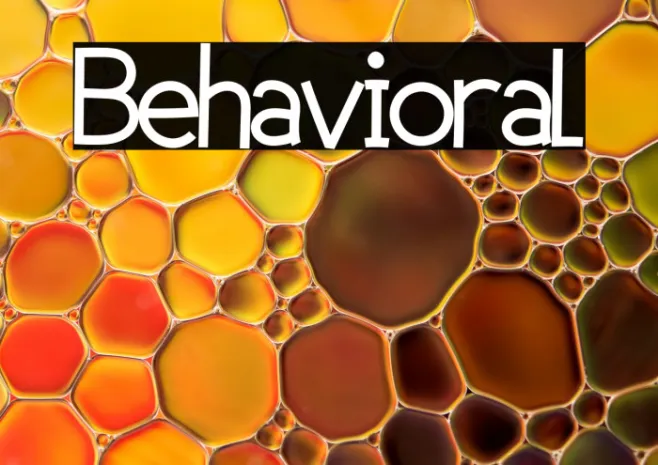 Behavioral Example 1