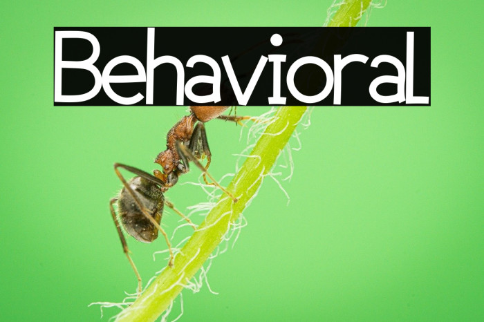 Behavioral Example 2