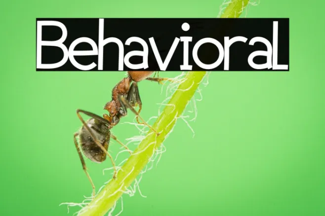 Behavioral Example 2