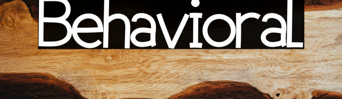 Behavioral Example 3