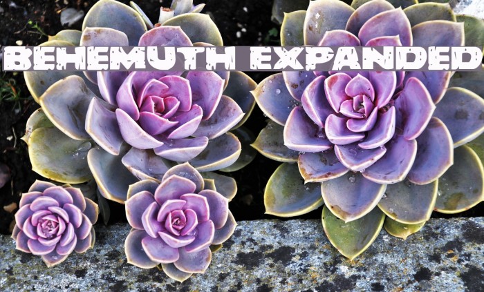 Behemuth Expanded Font examples