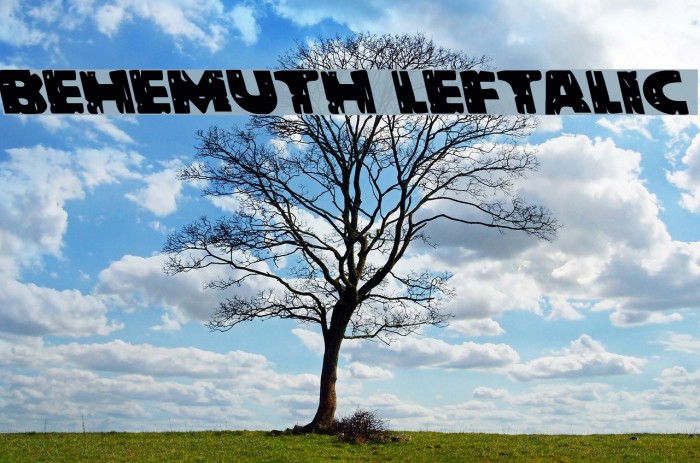 Behemuth Leftalic Example 3