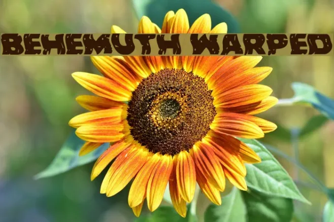 Behemuth Warped Example 3