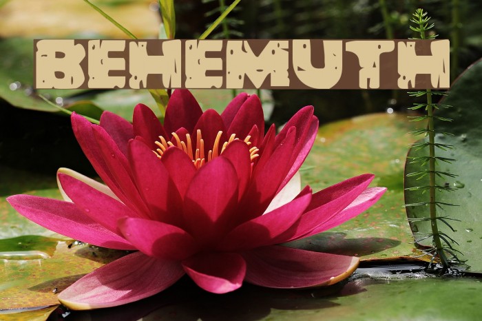 Behemuth Font examples