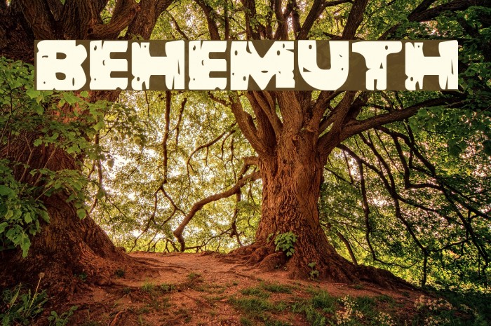 Behemuth Font examples