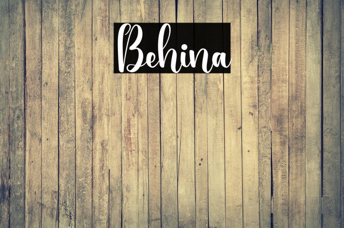 Behina Example 1