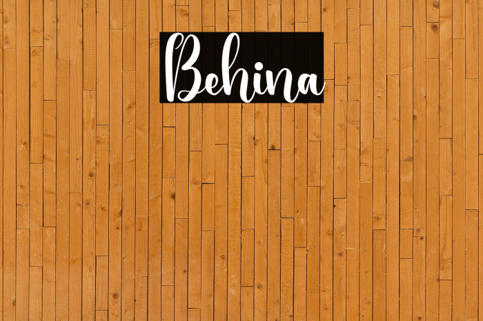 Behina Example 2