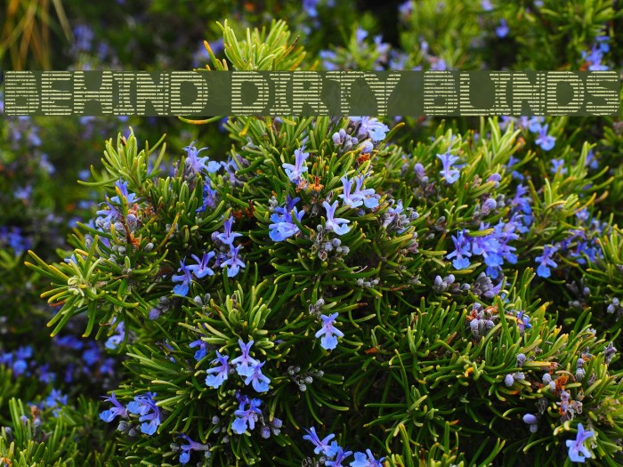Behind Dirty Blinds Font examples
