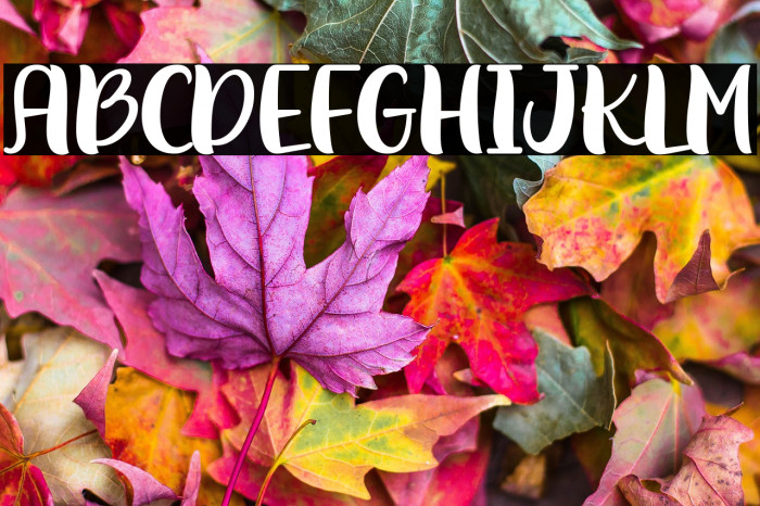 Behind The Scenery Example 2