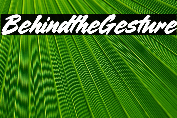 Behind the Gesture Example 3