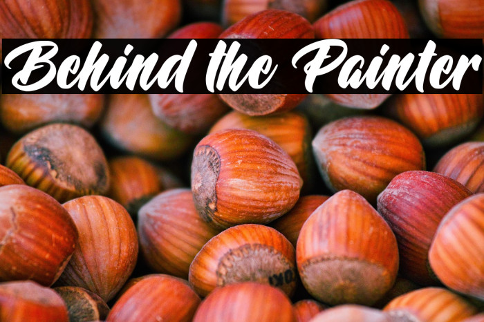 Behind the Painter Example 1