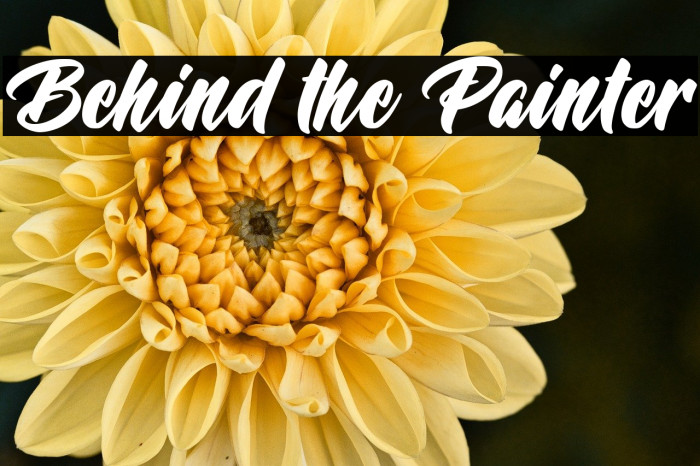 Behind the Painter Example 2