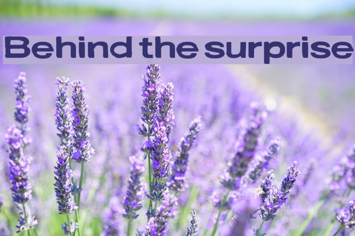 Behind the surprise Example 2