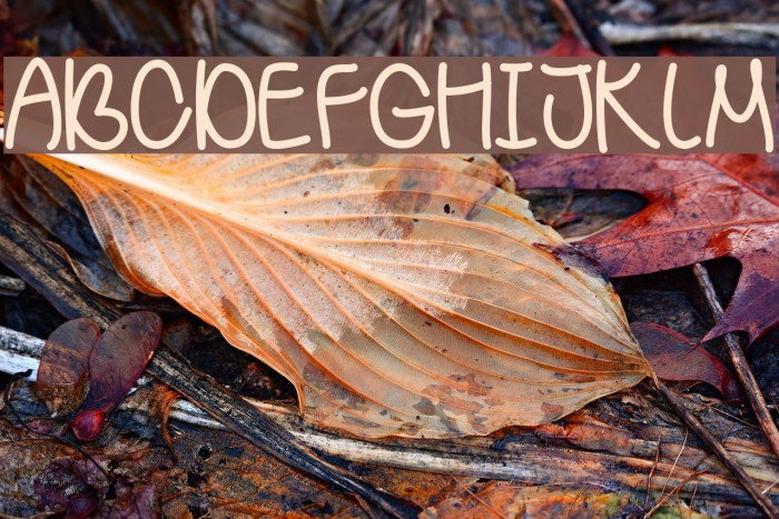 BehindGreenEyes Example 1