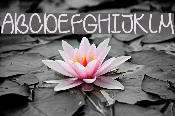 BehindGreenEyes Example 2