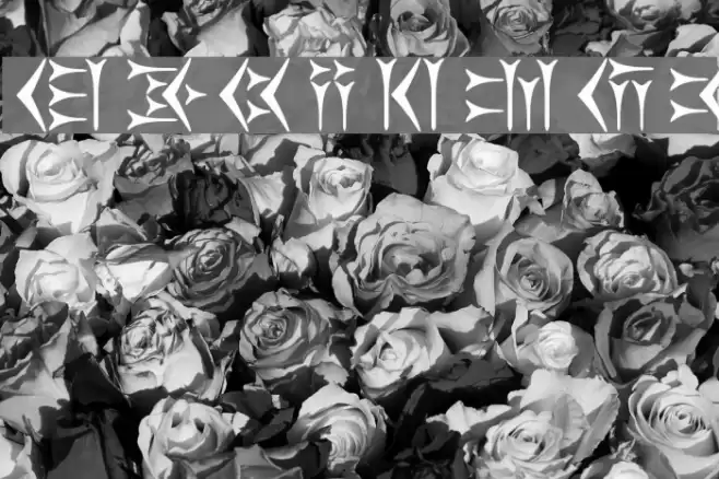 Behistun Font examples