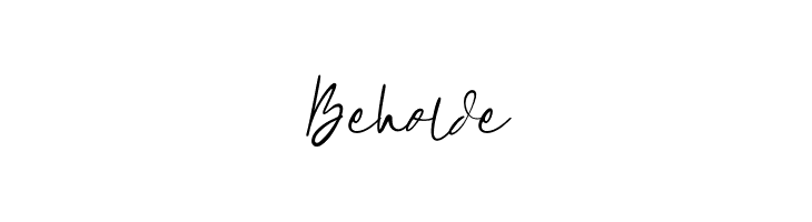 Beholde  Скачать бесплатные шрифты