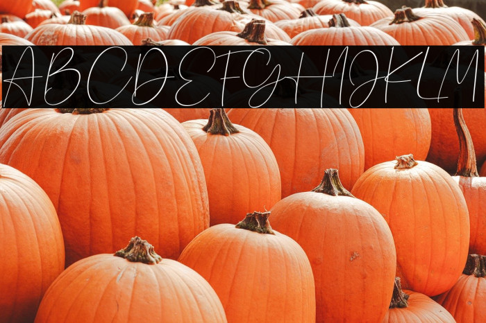 Beholder Beholder Example 2