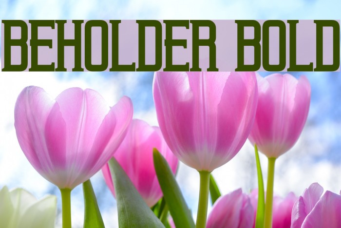 Beholder Bold Font examples