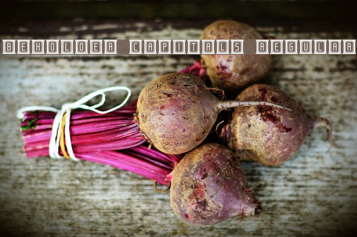 Beholder Capitals Regular Example 1