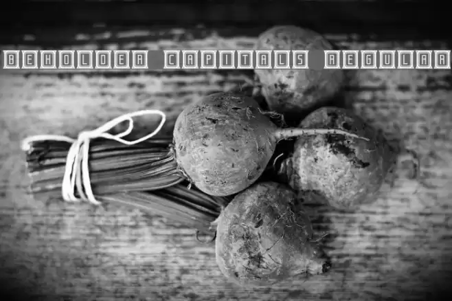 Beholder Capitals Regular Font examples