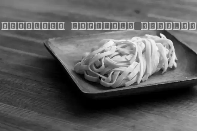 Beholder Capitals Regular Font examples