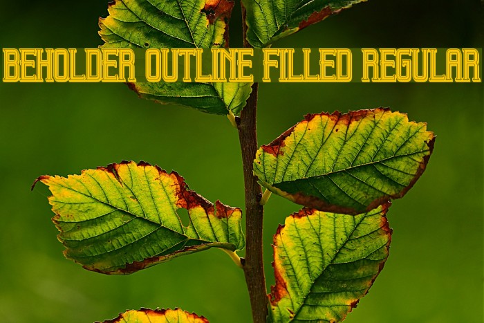 Beholder Outline Filled Regular Font examples
