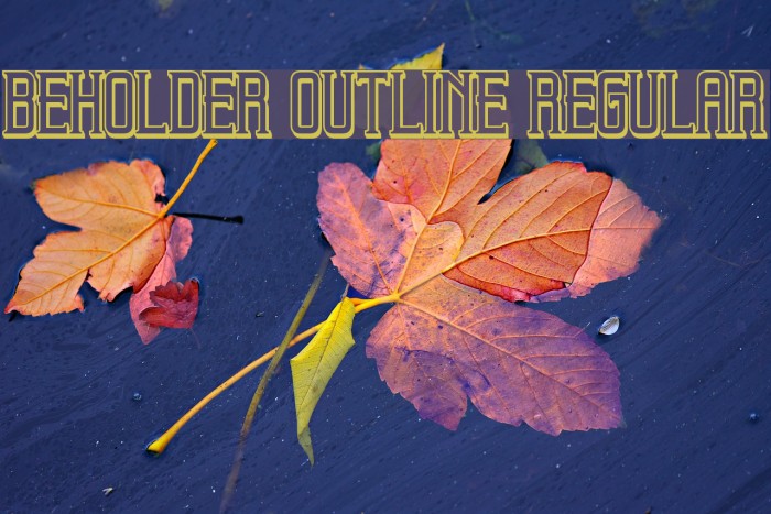 Beholder Outline Regular Example 2