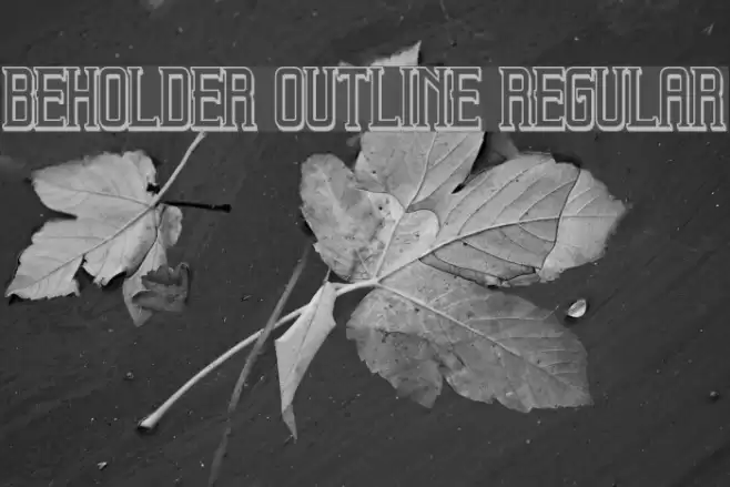 Beholder Outline Regular Font examples