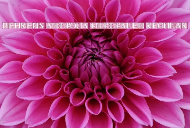 Behrens Antiqua Initialen Regular Example 2
