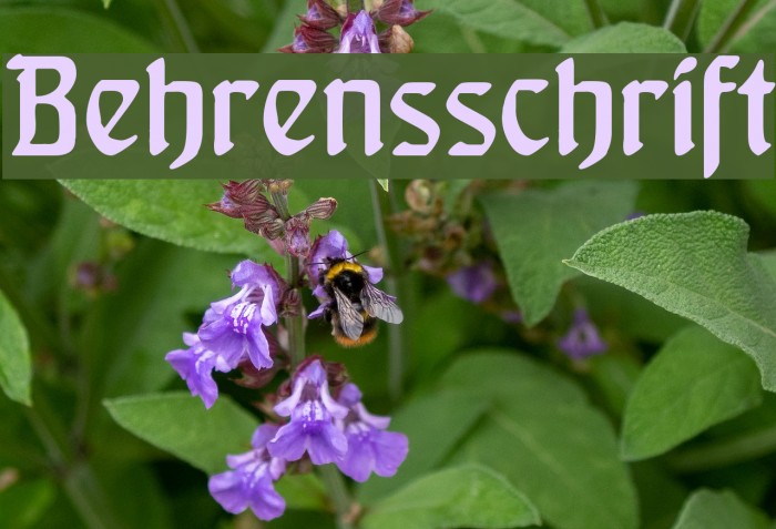 Behrensschrift Font examples