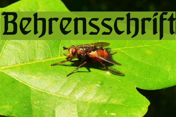 Behrensschrift Font examples
