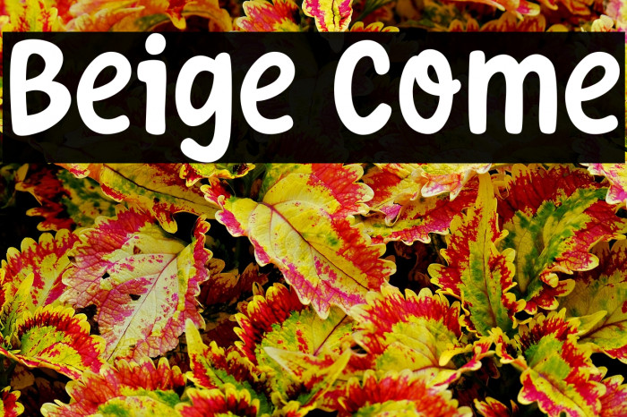 Beige Come Example 2