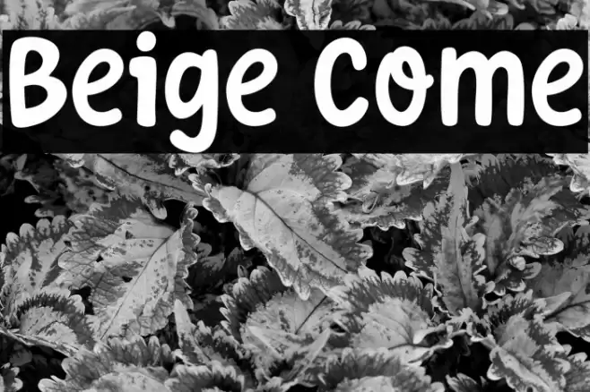 Beige Come Font examples