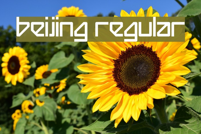 Beijing Regular Font examples