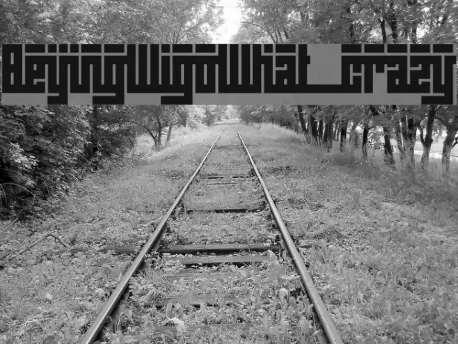 BeijingWigoWhat_crazy Font examples