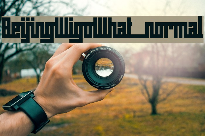 BeijingWigoWhat_normal Font examples