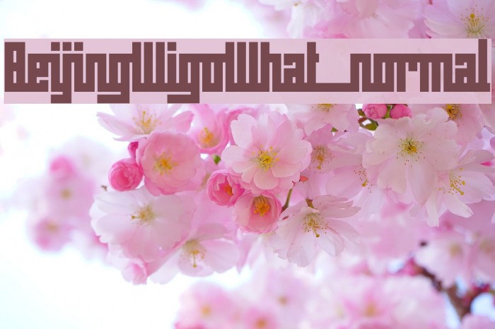 BeijingWigoWhat_normal Font examples
