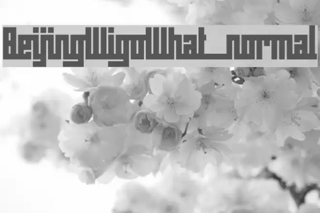 BeijingWigoWhat_normal Fonte examples