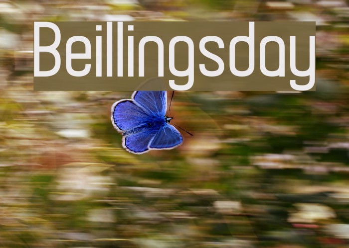 Beillingsday Font examples