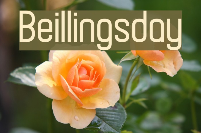 Beillingsday Font examples