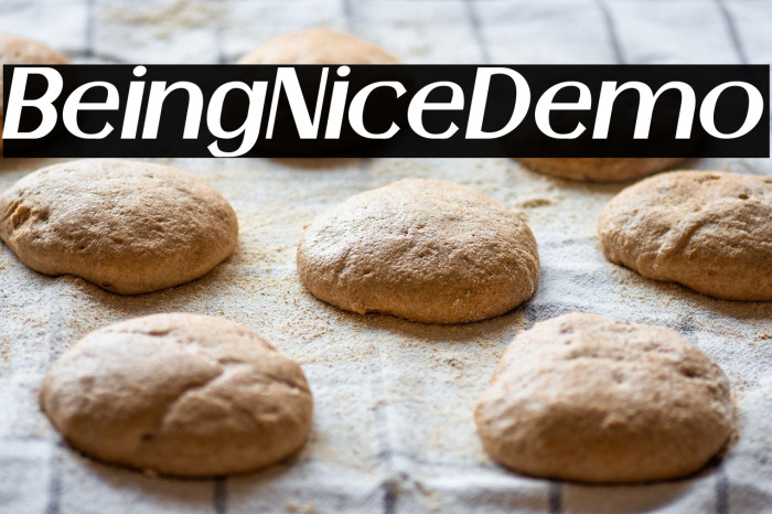 BeingNiceDemo Example 2