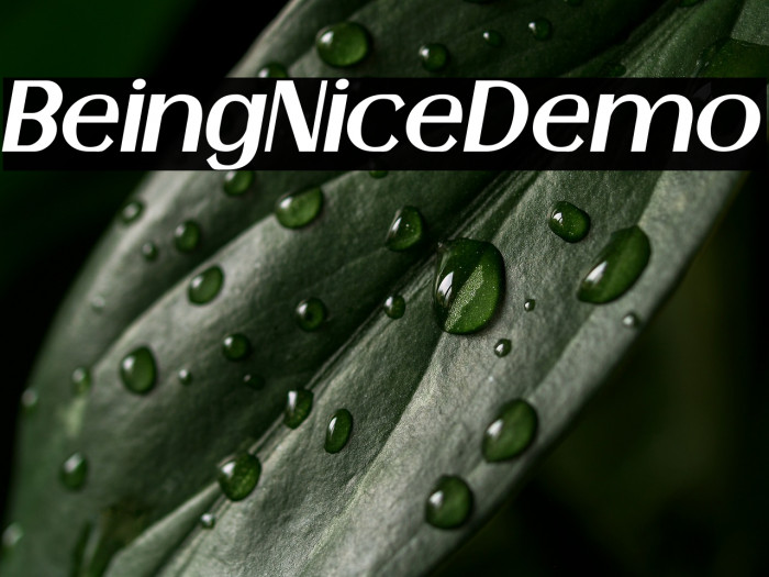 BeingNiceDemo Example 3