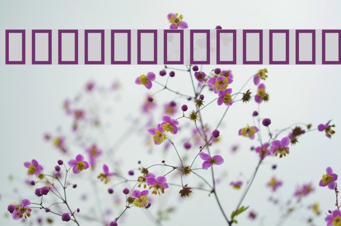 Beirut Black Example 2