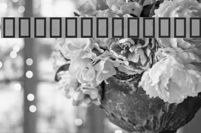 Beirut Black Font examples